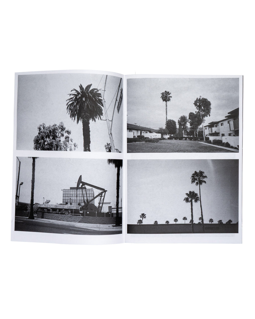 Palm Trees.... Zine and Art Print