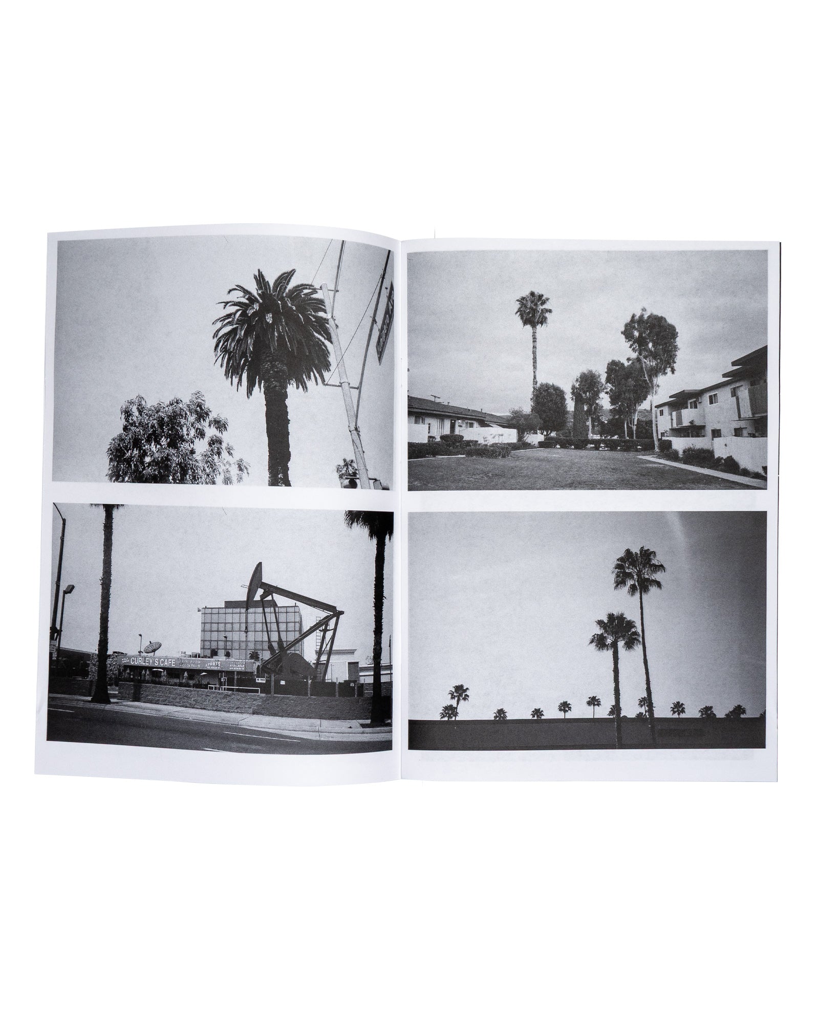 Palm Trees.... Zine and Art Print